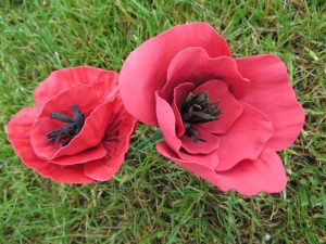 dwa ręcznie wykonane maki a w tle łąka.