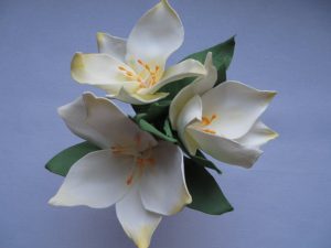 bukiet białych kwiatów na fioletowym tle.