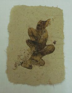 kartka papieru z rysunkiem liścia.