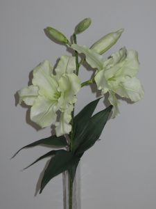 biały kwiat w szklanym wazonie na stole.